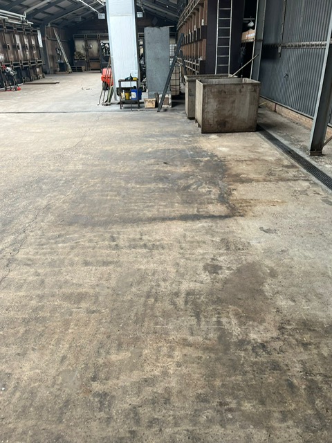 Image1 (1)